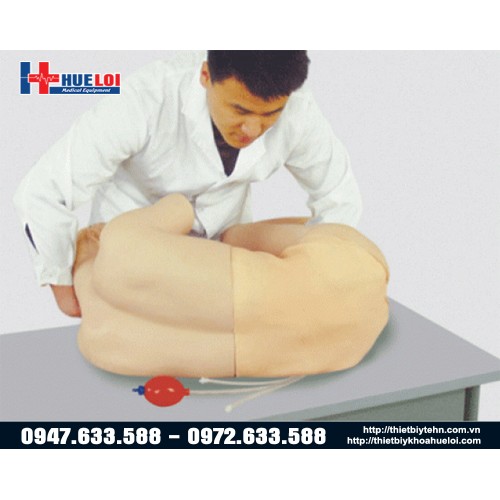 Mô hình chọc dò tủy sống